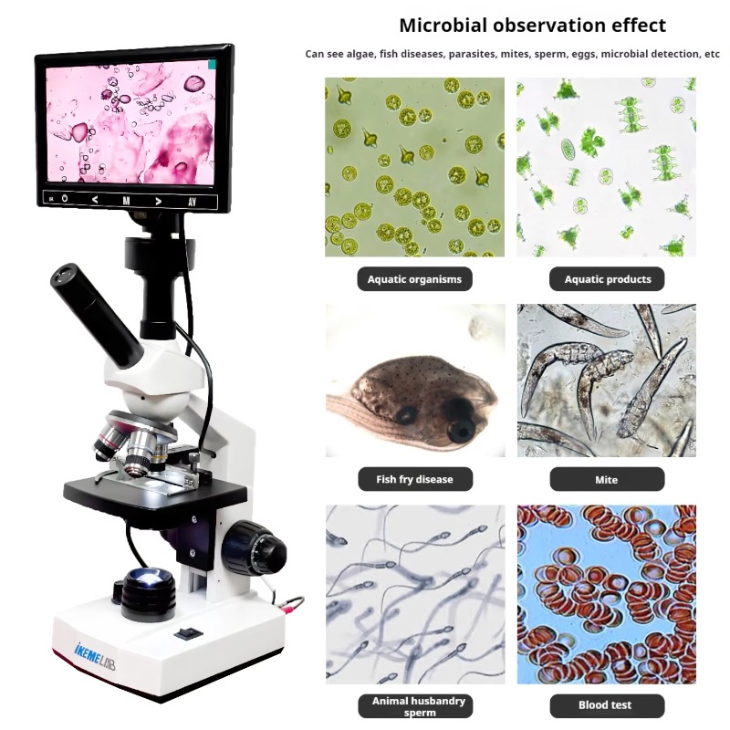 Mikroskop Cyfrowy HD z Ekranem – Medical Lab Microscope recenzja i cena