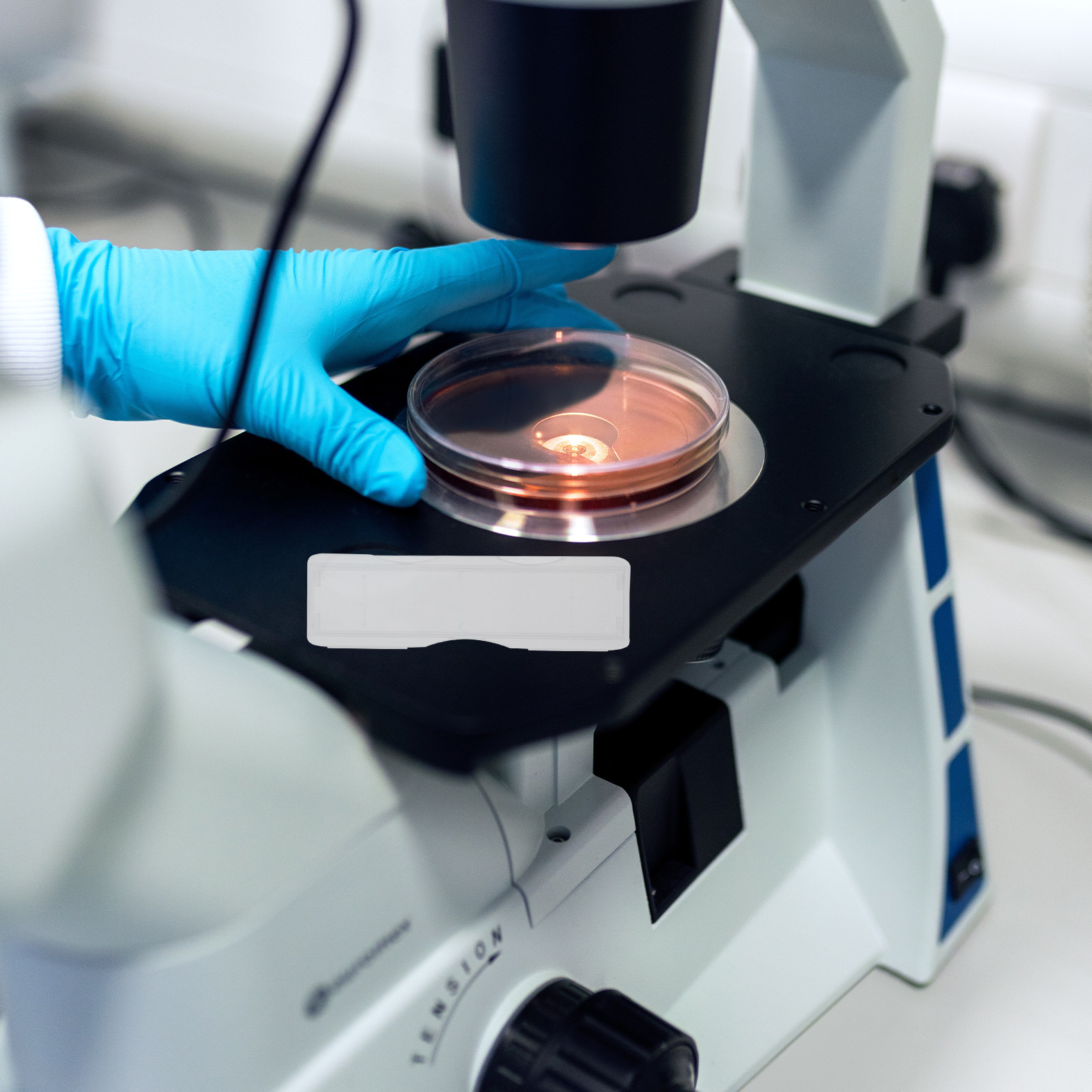 100 szt. Plastikowe pudełka na – Pathology Slide Storage recenzja i cena