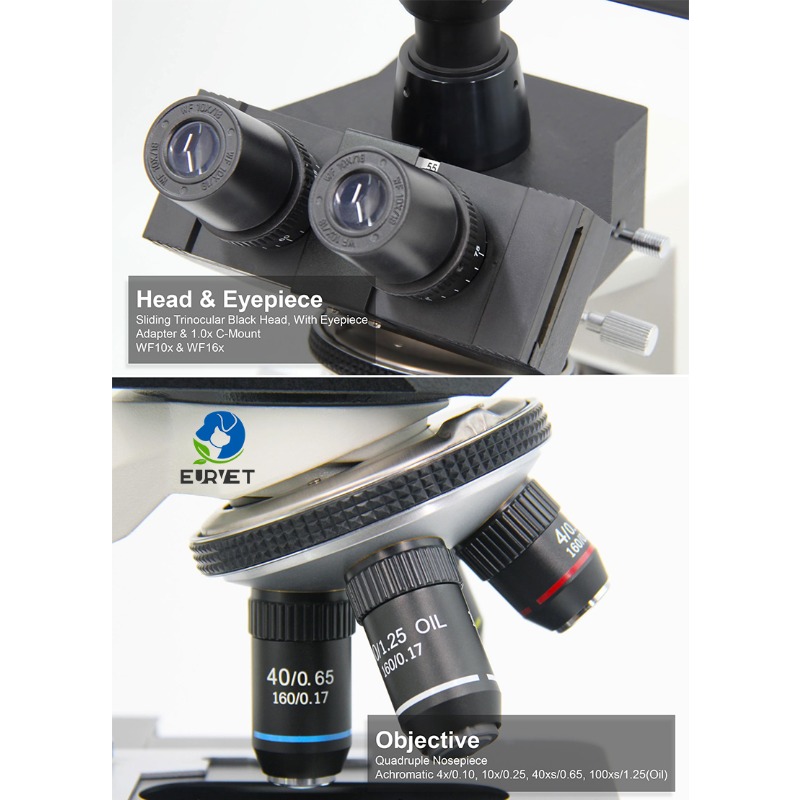 Mikroskop cyfrowy laboratoryjn – Medical Lab Microscope recenzja i cena